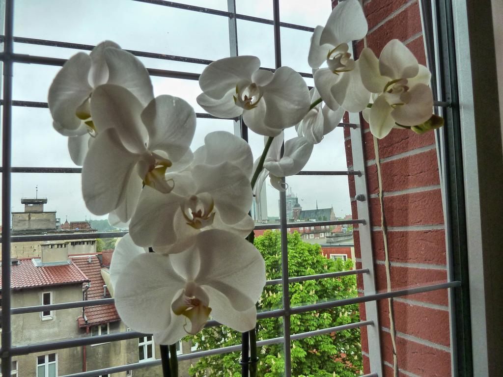 Tartaczna Deluxe Apartments Gdansk Phòng bức ảnh